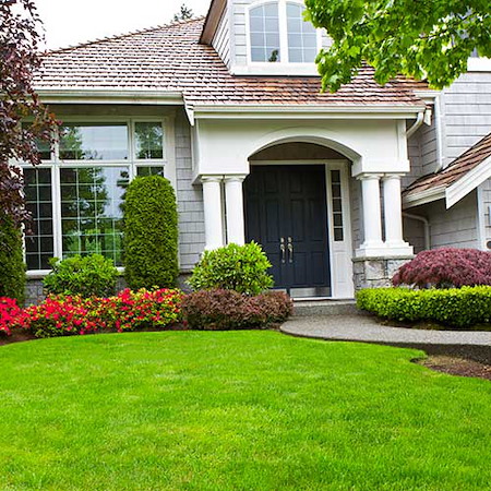 The Importance of Weed Control in Hoover’s Climate