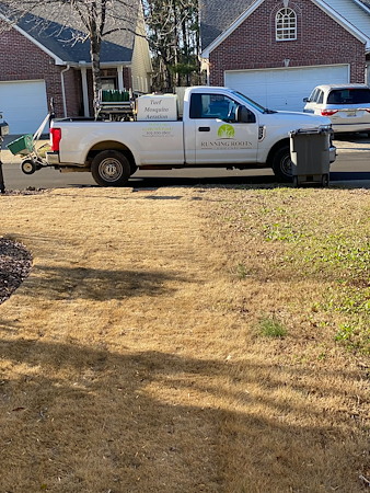 Why Your Lawn Turns Brown in Alabama Summers (And How to Fix It)